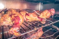 Whole chicken smoked in electric bbq smoker Royalty Free Stock Photo