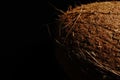 A whole coconut on a black background. The light was dim. Royalty Free Stock Photo