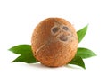 Whole coconut Royalty Free Stock Photo