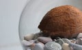 Whole coconut lies on sea pebbles in a round glass vase detailed stock photo Royalty Free Stock Photo