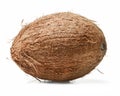 Whole coconut on white isolated background. Close-up. Good detail. Royalty Free Stock Photo