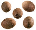 Whole coconuts