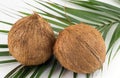 Whole coconuts on coconut leaves on white