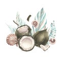 Whole coconuts and slices with tropical palm leaves and seashells. Watercolor illustration. Composition on a white