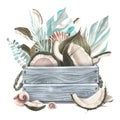 Whole coconuts and slices with tropical palm leaves and shells in a gray wooden box. watercolor illustration. Template Royalty Free Stock Photo