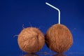 Whole Coconuts with Straw