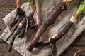 Whole comfrey roots with young leaves on a table Royalty Free Stock Photo