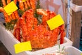 Whole taraba king crab in Tokyo fish market Royalty Free Stock Photo