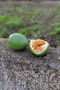Passion-fruit on a stone fence in farmers backyard, Tenerife, Spain Royalty Free Stock Photo