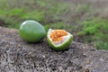 Passion-fruit on a stone fence in farmers backyard, Tenerife, Spain Royalty Free Stock Photo