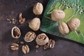 Whole and cracked walnuts Royalty Free Stock Photo