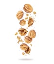 Whole and cracked walnuts close-up in the air on a white background Royalty Free Stock Photo