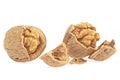 Whole and cracked walnuts isolated on white background. Front view of dried walnuts Royalty Free Stock Photo