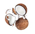Whole and crushed coconut closeup in the air isolated on white background