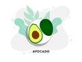 Whole and cut in half avocado with pit. Vector illustration. Royalty Free Stock Photo