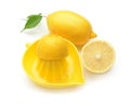 Whole and cut lemon with juicer on white background