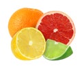 Whole and cut orange, grapefruit, lemon, lime fruits isolated Royalty Free Stock Photo