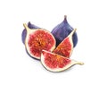 Whole and cut purple figs on white background Royalty Free Stock Photo