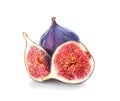Whole and cut purple figs on white background Royalty Free Stock Photo