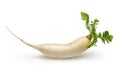 Whole daikon white radish on white background Royalty Free Stock Photo