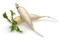 Whole daikon white radish on white background Royalty Free Stock Photo