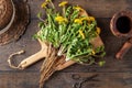 Whole dandelion plants with roots on a table