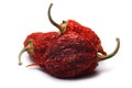 Whole dried Habaneros Capsicum chinense, paths Royalty Free Stock Photo