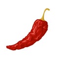 Whole dry pepper chilli. Vector realistic color illustration. Isolated on white Royalty Free Stock Photo