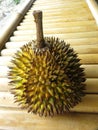 Whole durian on bamboo. Hard and sharp spines.