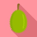 Whole durian icon, flat style