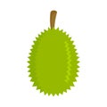 Whole durian icon, flat style