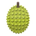 Whole durian icon, isometric style
