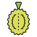 Whole durian icon color outline vector