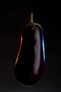 Whole eggplant placed on black background under stylized light Royalty Free Stock Photo