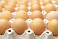 Whole eggs in box. top view Chicken egg on the table polished concrete Royalty Free Stock Photo