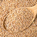 Whole Emmer farro hulled wheat in spoon closeup