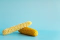 Whole and empty corn cob. Maize. Zea mays. Two boiled corncobs. One with delicious yellow-golden sweetcorn grains and Royalty Free Stock Photo