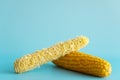 Whole and empty corn cob. Maize. Zea mays. Two boiled corncobs. One with delicious yellow-golden sweetcorn grains and Royalty Free Stock Photo