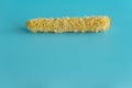 Whole and empty corn cob. Maize. Zea mays. Two boiled corncobs. One with delicious yellow-golden sweetcorn grains and Royalty Free Stock Photo