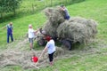 Agricultural family business, family is harvesting hay, Czech Republic