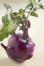 Whole farm fresh red kohlrabi Royalty Free Stock Photo