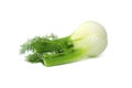 Whole fennel bulb isolated on white background Royalty Free Stock Photo