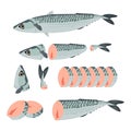 Whole, fillet and sliced mackerel. Vector illustration with sea fish in cartoon style. Steak and pieces of ocean fish isolated on Royalty Free Stock Photo