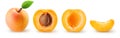 Whole fresh apricot fruit with leaf, half and pieces in a row isolated on white background with clipping path. Royalty Free Stock Photo