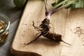 Whole fresh burdock root on a wooden table