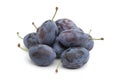 Whole fresh Damson plums Royalty Free Stock Photo