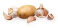 Whole fresh garlic, half, cloves and potato isolated on white Royalty Free Stock Photo