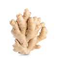 Whole fresh ginger root isolated on white Royalty Free Stock Photo