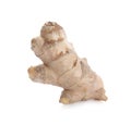 Whole fresh ginger root isolated on white Royalty Free Stock Photo