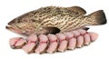 Fresh Grouper Fish and Slices on White Background Royalty Free Stock Photo